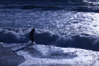 DSC_0442 (Large).JPG